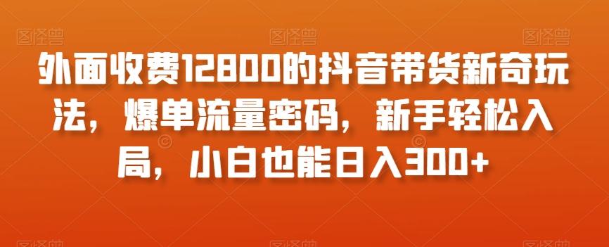 外面收费12800的抖音带货新奇玩法，爆单流量密码，新手轻松入局，小白也能日入300+【揭秘】-灼光资源宝库
