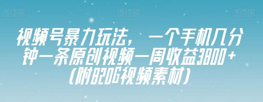 视频号暴力玩法，一个手机几分钟一条原创视频一周收益3800+（附820G视频素材）-灼光资源宝库