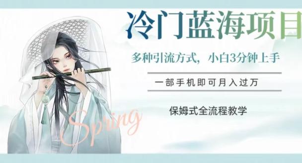 冷门蓝海项目，操作简单，小白3分钟上手，多种引流方式，保姆式全流程教学【揭秘】-灼光资源宝库