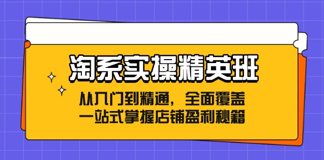 淘系实操精英班：从入门到精通，全面覆盖，一站式掌握店铺盈利秘籍-灼光资源宝库