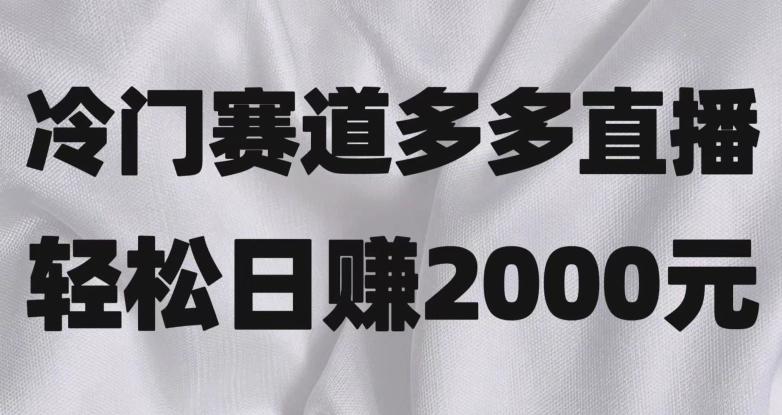 冷门赛道拼多多直播，简单念稿子，日收益2000＋【揭秘】-灼光资源宝库