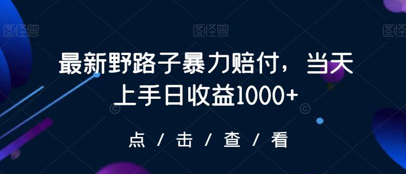 最新野路子暴力赔付，当天上手日收益1000+【仅揭秘】-灼光资源宝库
