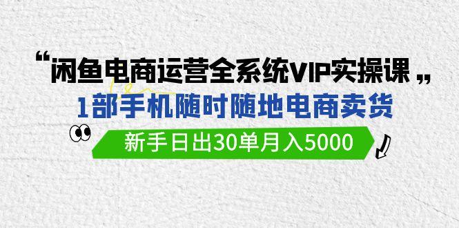 (9547期)闲鱼电商运营全系统VIP实战课，1部手机随时随地卖货，新手日出30单月入5000-灼光资源宝库