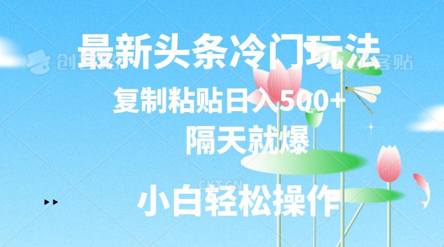 最新头条冷门玩法，隔天就爆，复制粘贴日入500+-灼光资源宝库