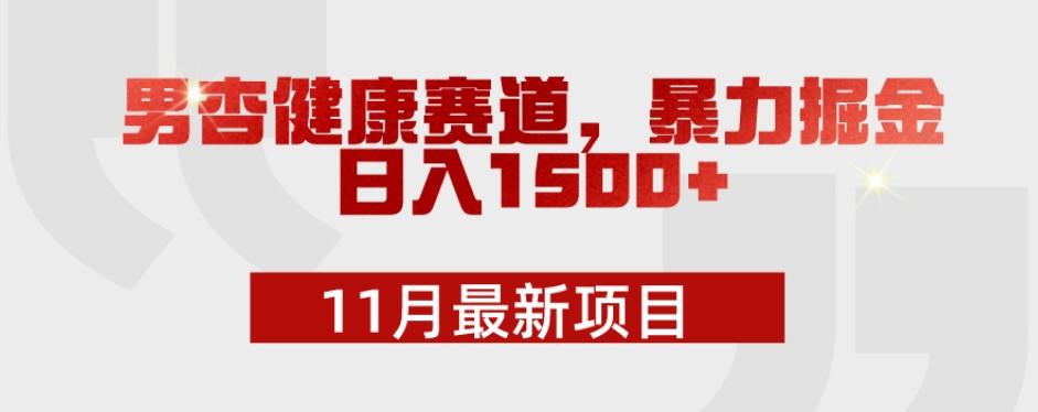 11月最新项目，男杏健康赛道，暴力掘金，日入1500+-灼光资源宝库