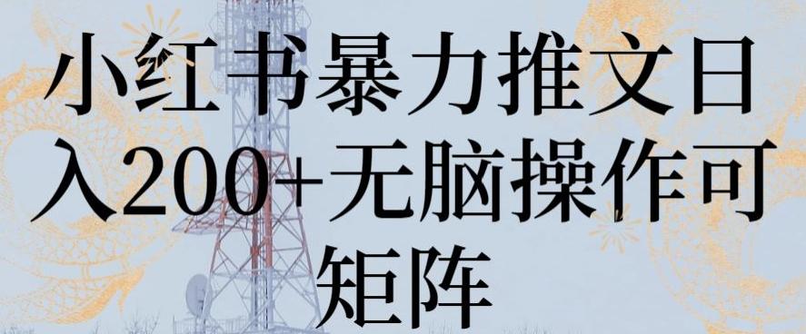 小红书暴力推文日入200+无脑操作可矩阵【揭秘】-灼光资源宝库