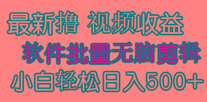 (9569期)发视频撸收益，软件无脑批量剪辑，第一天发第二天就有钱-灼光资源宝库