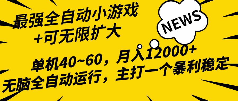 (10046期)2024最新全网独家小游戏全自动，单机40~60,稳定躺赚，小白都能月入过万-灼光资源宝库