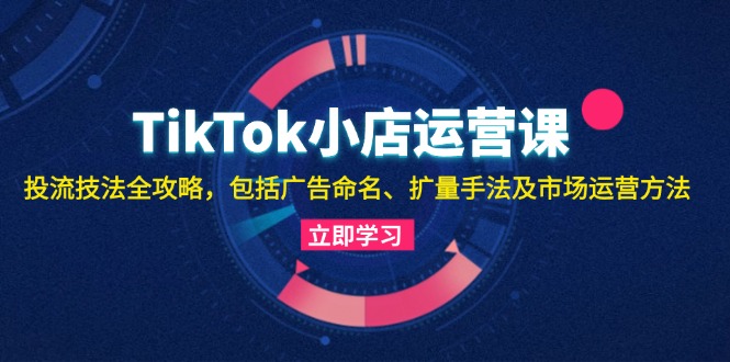 TikTok小店运营课：投流技法全攻略，包括广告命名 扩量手法及市场运营方法-灼光资源宝库