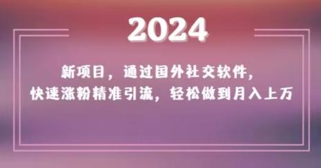 2024新项目，通过国外社交软件，快速涨粉精准引流，轻松做到月入上万【揭秘】-灼光资源宝库
