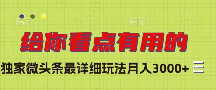 独家微头条最详细玩法，月入3000+【揭秘】-灼光资源宝库