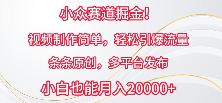 小众赛道掘金，视频制作简单，轻松引爆流量，条条原创，多平台发布【揭秘】-灼光资源宝库