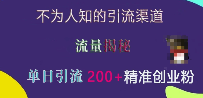 不为人知的引流渠道，流量揭秘，实测单日引流200+精准创业粉【揭秘】-灼光资源宝库