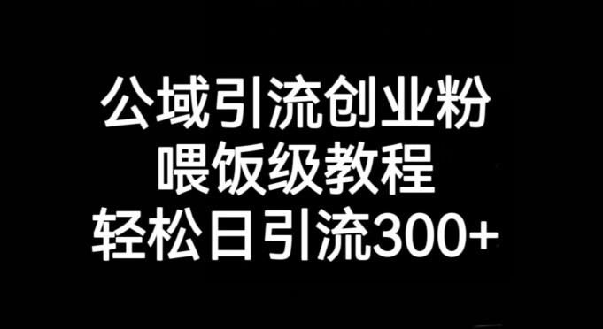 公域引流创业粉，喂饭级教程，轻松日引流300+【揭秘】-蘑菇资源宝库