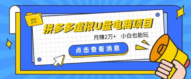 拼多多虚拟U盘电商红利项目：月赚2万+，新手小白也能玩-灼光资源宝库