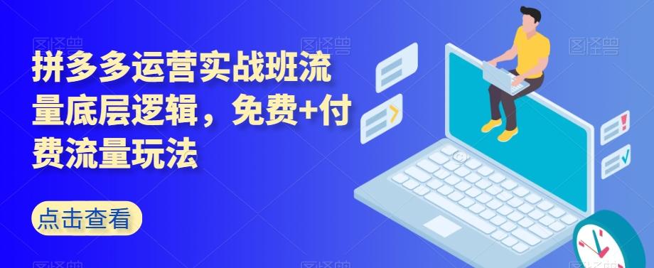 拼多多运营实战班流量底层逻辑，免费+付费流量玩法-灼光资源宝库