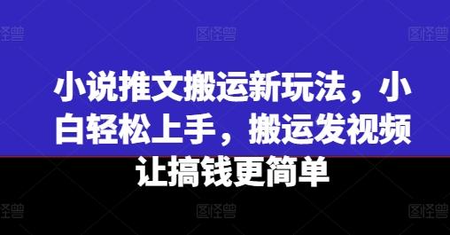 小说推文搬运新玩法，小白轻松上手，搬运发视频让搞钱更简单-灼光资源宝库