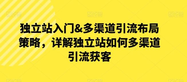 独立站入门&多渠道引流布局策略，详解独立站如何多渠道引流获客-灼光资源宝库