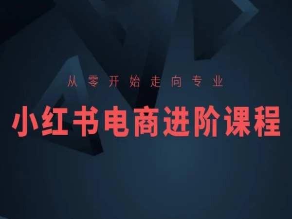 从零开始走向专业，小红书电商进阶课程-灼光资源宝库