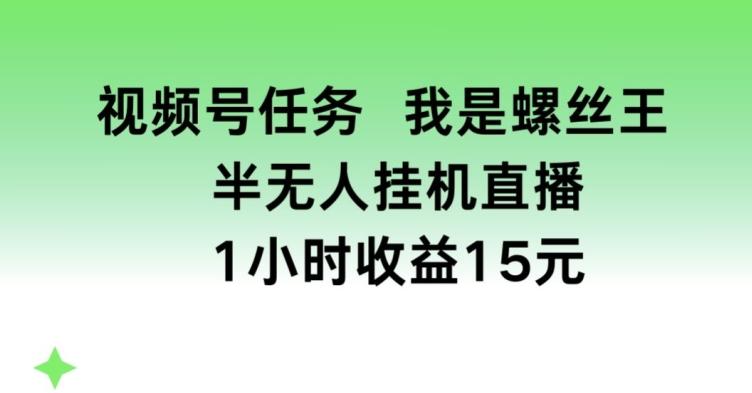 视频号任务，我是螺丝王， 半无人挂机1小时收益15元【揭秘】-灼光资源宝库