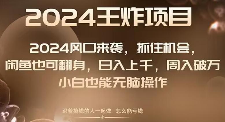 2024风口项目来袭，抓住机会，闲鱼也可翻身，日入上千，周入破万，小白也能无脑操作-灼光资源宝库