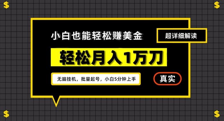 谷歌看广告撸美金2.0，无脑挂机，多号操作，月入1万刀【揭秘】-灼光资源宝库