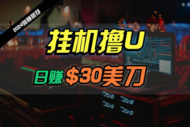 (10013期)日赚30美刀，2024最新海外挂机撸U内部项目，全程无人值守，可批量放大-灼光资源宝库