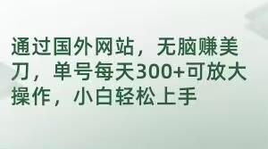 通过国外网站，无脑赚美刀，单号每天300+可放大操作，小白轻松上手【揭秘】-灼光资源宝库