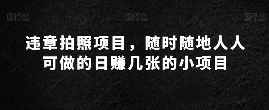 违章拍照项目，随时随地人人可做的日赚几张的小项目-灼光资源宝库