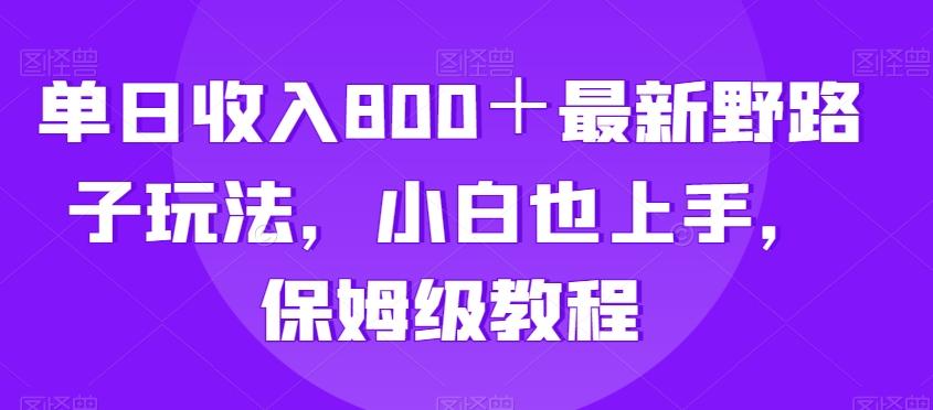 单日收入800＋最新野路子玩法，小白也上手，保姆级教程-灼光资源宝库