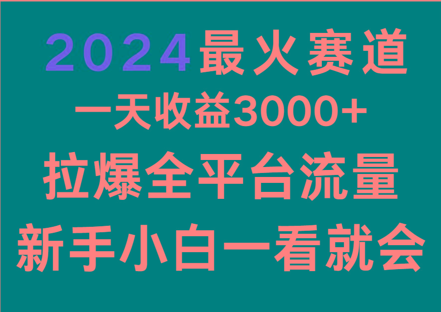 2024最火赛道，一天收一3000+.拉爆全平台流量，新手小白一看就会-灼光资源宝库
