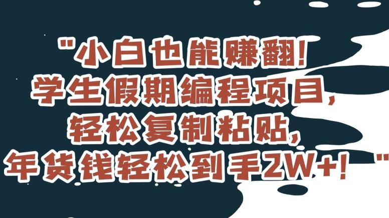 小白也能赚翻！学生假期编程项目，轻松复制粘贴，年货钱轻松到手2W+【揭秘】-灼光资源宝库