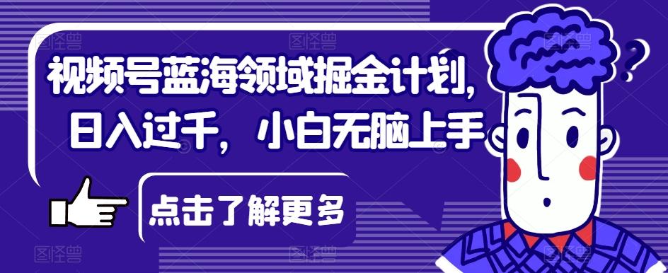 视频号蓝海领域掘金计划，日入过千，小白无脑上手【揭秘】-蘑菇资源宝库