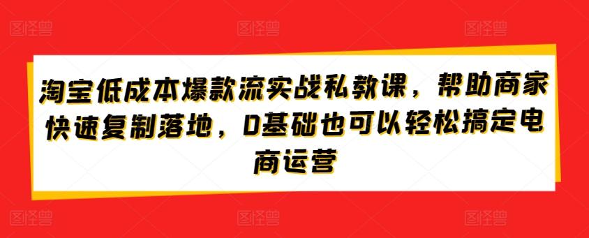 淘宝低成本爆款流实战私教课，帮助商家快速复制落地，0基础也可以轻松搞定电商运营-灼光资源宝库