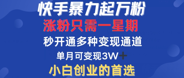 快手暴力起万粉，涨粉只需一星期，多种变现模式，直接秒开万合，单月变现过W【揭秘】-灼光资源宝库