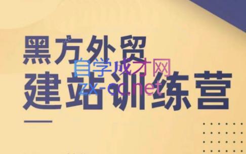 黑方老师·谷歌B端独立站建站推广-灼光资源宝库