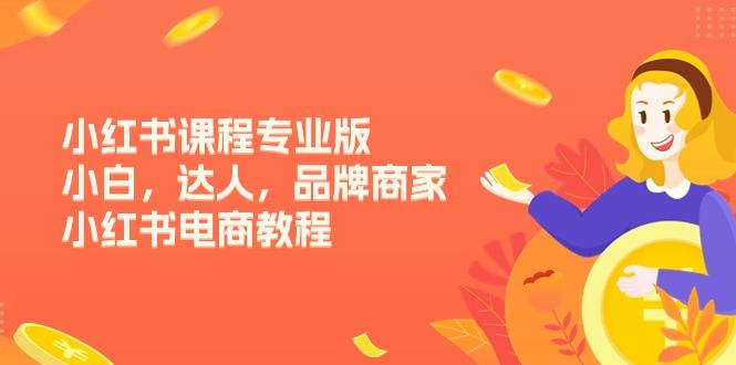 小红书课程专业版，小白，达人，品牌商家，小红书电商教程(15节-灼光资源宝库
