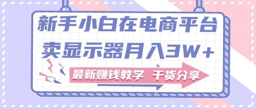 新手小白如何做到在电商平台卖显示器月入3W+，最新赚钱教学干货分享-灼光资源宝库