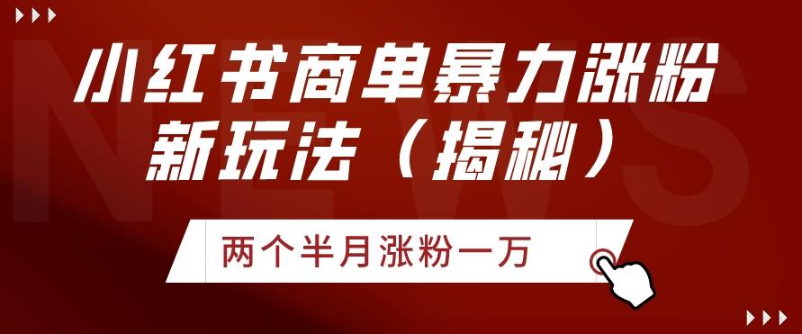 小红书商单暴力涨粉新玩法两个半月涨粉一万（揭秘）-灼光资源宝库