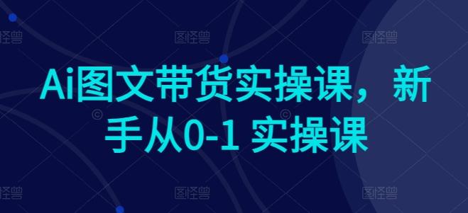 Ai图文带货实操课，新手从0-1 实操课-灼光资源宝库