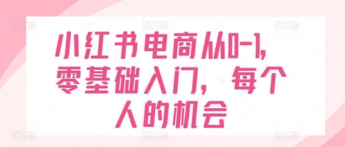 小红书电商从0-1，零基础入门，每个人的机会-灼光资源宝库