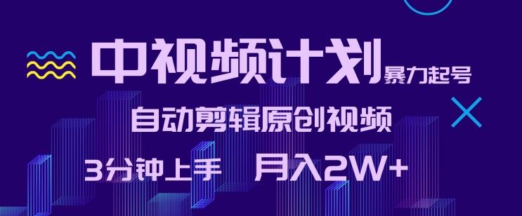 中视频计划暴力起号，自动剪辑原创视频，3分钟上手，月入2W+【揭秘】-灼光资源宝库