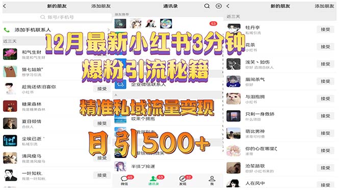 12月最新小红书3分钟爆粉引流秘籍 精准私域流量变现 日引500+-灼光资源宝库
