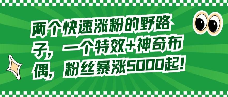 两个快速涨粉的野路子，一个特效+神奇布偶，粉丝暴涨5000起【揭秘】-灼光资源宝库