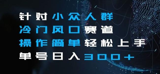 针对小众人群冷门风口赛道，操作简单轻松上手单号日入300+-灼光资源宝库