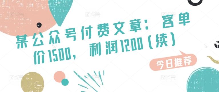某公众号付费文章：客单价1500，利润1200(续)，市场几乎可以说是空白的-灼光资源宝库