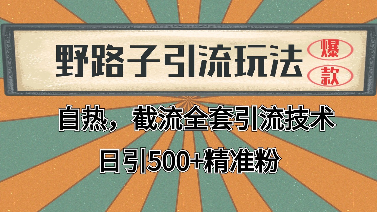 抖音小红书视频号全平台引流打法，全自动引流日引2000+精准客户-灼光资源宝库