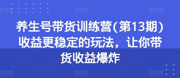 养生号带货训练营(第13期)收益更稳定的玩法，让你带货收益爆炸-灼光资源宝库