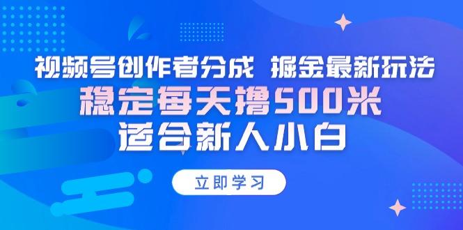 【蓝海项目】视频号创作者分成 掘金最新玩法 稳定每天撸500米 适合新人小白-灼光资源宝库