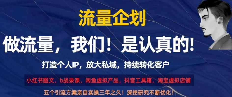 流量企划，打造个人IP，放大私域，持续转化客户【揭秘】-灼光资源宝库